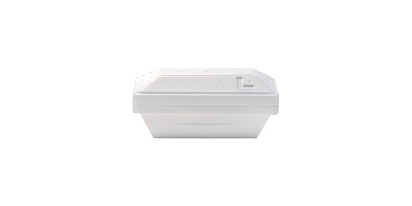 Alcas Yet Container500cc with LID